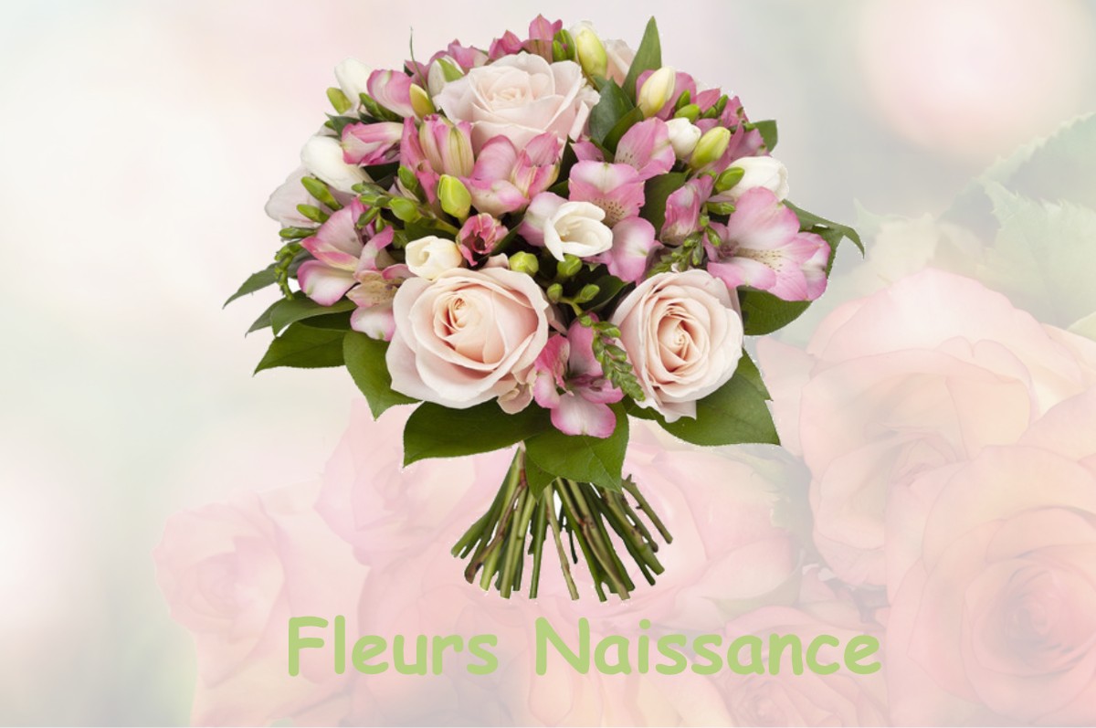 fleurs naissance MESNOIS