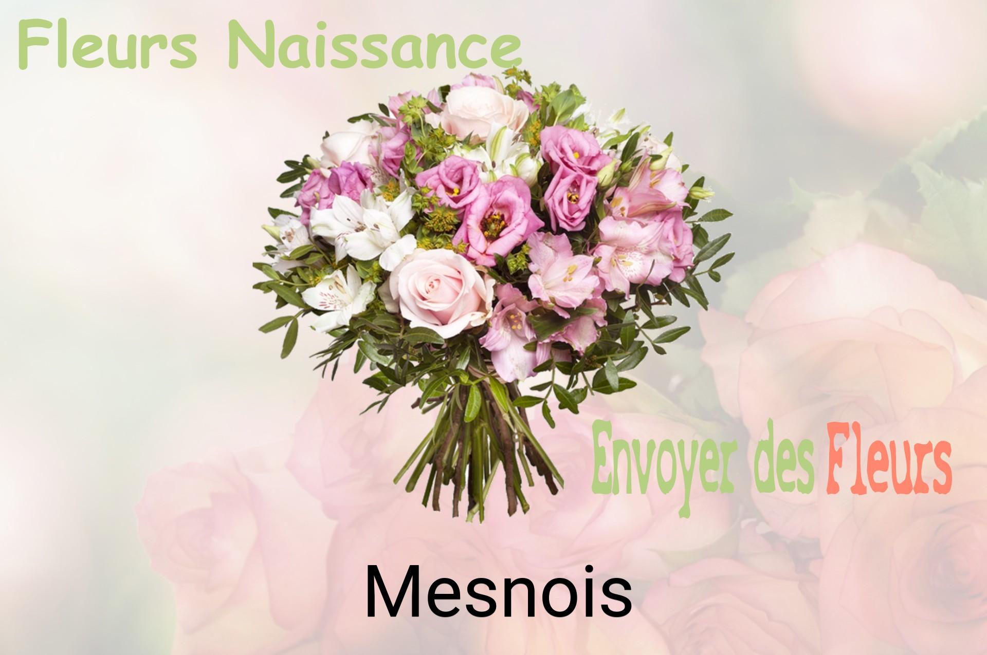 Bouquet de fleurs de naissance livré à Mesnois