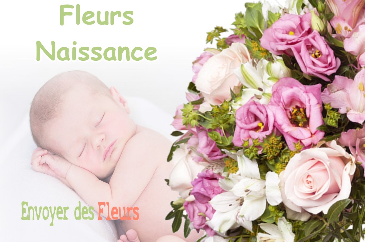 lIVRAISON FLEURS NAISSANCE à MESNOIS